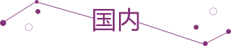 国内